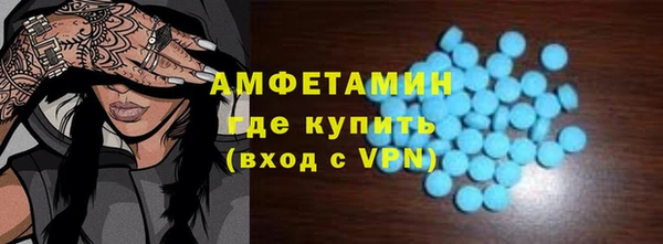 гидра Богородицк