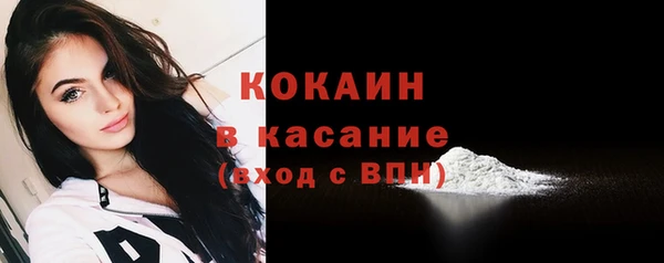 гидра Богородицк