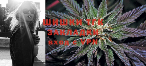 гидра Богородицк