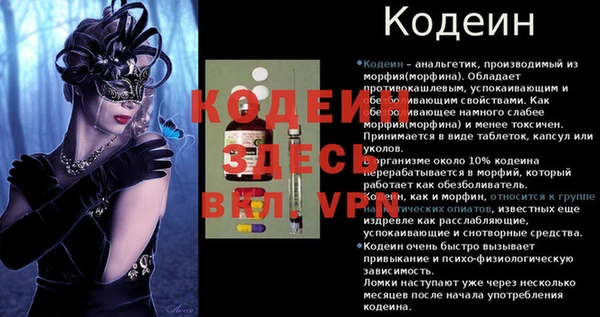 гидра Богородицк