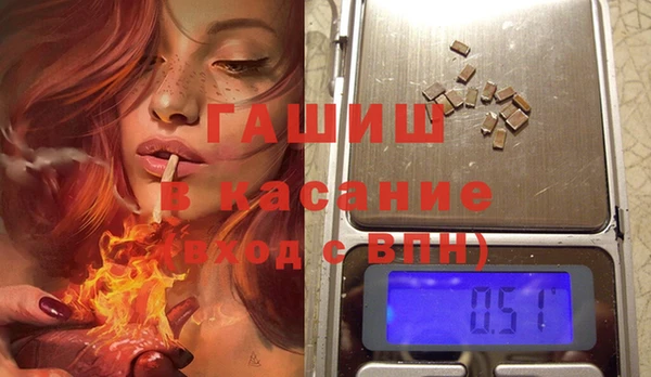 гидра Богородицк