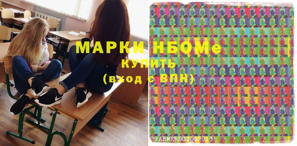 гидра Богородицк