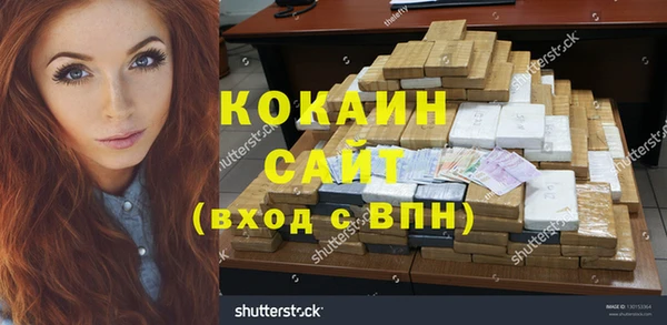 гидра Богородицк