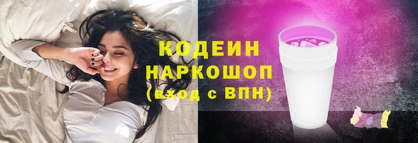 гидра Богородицк