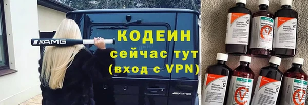гидра Богородицк