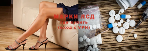 гидра Богородицк