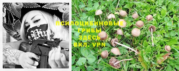 гидра Богородицк